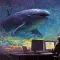 Whaling Phishing: Definition and Prevention Strategies